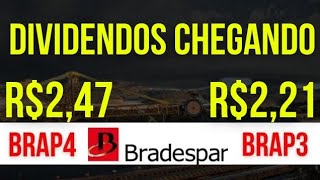 BRADESPAR BRAP4 BRAP3 DIVIDENDOS FATOS IMPORTANTES DPA MÉDIO dividendos brap4 investir brap3 [upl. by Ettenrahc]