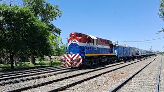 Tren Sanitario Dr Ramón Carrillo traccionado por ALCO RSD16 8231 saliendo de Patio Parada 13112024 [upl. by Tutto208]