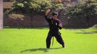 AMERICAN KENPO ECUADOR KENPO SHORT FORM 2 FORMA CORTA 2 [upl. by Clie783]