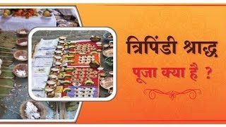 Pitra Dosh Puja Cost in Trimbakeshwar Call 8788213494  pitradosh trimbakeshwar [upl. by Eenehs]