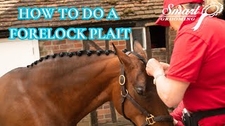 HOW TO PLAIT A FORELOCK [upl. by Nally]