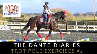 Trot Pole Exercises Including Leg Yielding [upl. by Lozar]