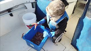 West Coast Vancouver Island fishing in Quatsino Sound [upl. by Mchenry]