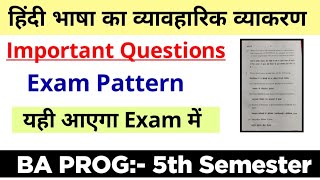 Hindi Bhasha Ka Vyavarik Vyakaran Important Questions amp Exam Pattern BA PROG 5th Semester DU SOL [upl. by Isaiah]