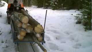 Ski Doo Alpine II in forest work [upl. by Lani352]