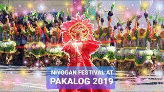 Niyogan Festival I Pakalog 2019 I DARWIN RAMOS VLOGS [upl. by Fairweather]