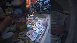 nag kalat ang bangus sa kalsada ng binangonan dahil sa bagyo [upl. by Partan154]