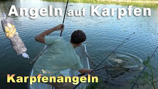 Karpfenangeln  Angeln auf Karpfen im Sommer mit verschiedenen Methoden und Montagen [upl. by Asiralc335]