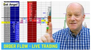 Betfair Trading Strategy  How To Trade Order Flow On Horse Racing [upl. by Hesoj]