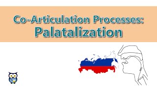 CoArticulation Processes Palatalization [upl. by Gnek]