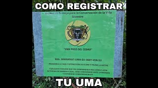 Como registrar tu UMA ante SEMARNAT [upl. by Fidelio]