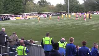 AFC Sudbury V Dartford  Highlights [upl. by Siladnerb815]