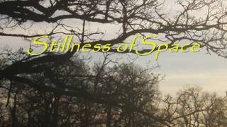 Stillness Speakswmv [upl. by Gram167]