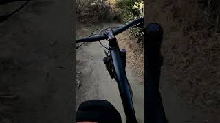 Sick line mtb [upl. by Torey]