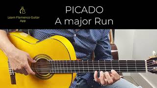 PICADO SCALES FLAMENCO GUITAR [upl. by Harleigh]