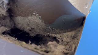 Dryer Vent Cleaning Tutorial diy guttercleaning pressurewashing roofcleaning dryerventcleaning [upl. by Aneeles]