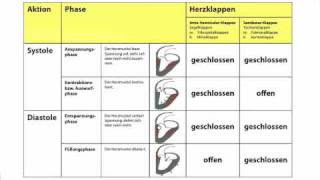 Herzaktionen  Systole und Diastole in der Heilpraktikerausbildung [upl. by Sifan]