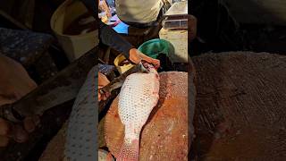 Amazing Tilapia Fish Cutting Skills In Bangladesh Fish Market By Expert Cutter shorts [upl. by Kcirdled]