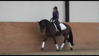 Natalie Allen rides four year old Ruby on and off the lunge TRAILER [upl. by Giralda]