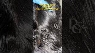 Lice removal treatmentnits and lice treatment in parlourtangle amp lice treatmenthow to remove lice [upl. by Adgam]