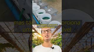 Ecologia Prática A Implementação da Aquaponia em Ambientes Educacionais aquaponia agro [upl. by Audres]