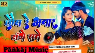 chhora re bhato se Patna bade bhataar sang Ashish Yadav ka DJ remix Ashish Yadav 2ka mini gana [upl. by Elbag]