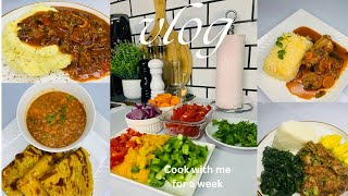 SIMPLE DINNER IDEASCOOK WITH ME FOR A WEEKSIMPLE RECIPES [upl. by Inaj]