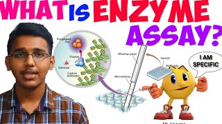 what is enzyme assaywhat is linked enzyme assay [upl. by Nilsoj]