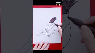 Willow Ptarmigan Bird drawing [upl. by Hite753]