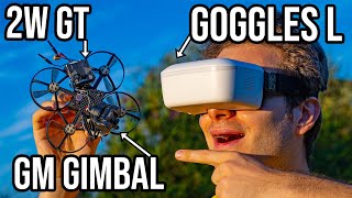 Digital Innovation Caddx Walksnail Goggles L  Avatar GT  GM Gimbal Review [upl. by Ev]