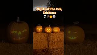 Nights of the Jack  Calabasas CA 🎃✨💀halloween pumpkin kids [upl. by Stu]