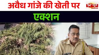 Police Action Against Those Who Cultivate Ganja DC NEWS INDIA [upl. by Adai]