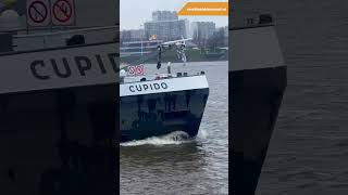 Binnenvaartschip Cupido Antwerpen schelde wereldvandebinnenvaart binnenvaart scheepvaart [upl. by Losyram]