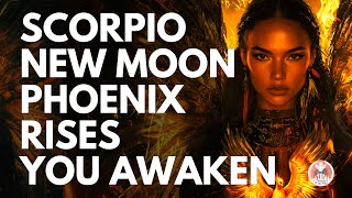 PHOENIX RISING Scorpio New Moon Meditation for Deep Healing amp Rebirth [upl. by Jenni400]