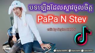 បទស្ទាវចូលចិត្ត TikTok 2019 PaPa N Steav Remix [upl. by Ynoep547]