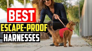 ✅Top 5 Best Escape Proof Harnesses for Houdini Dogs in 2024 [upl. by Solenne]