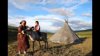 Reindeer Tribes of Mongolia  CROOKED COMPASS [upl. by Yerfej970]