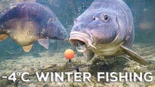 Underwater Carp Fishing In A Frozen Lake 4°C [upl. by Asaph]