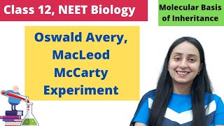 Avery MacLeod amp McCarty Experiment  Class 12  NEET Biology [upl. by Flieger]