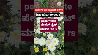 Davanagere flowers market today rates23102024 [upl. by Seligmann952]