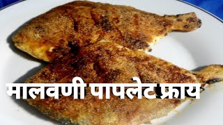 Malvani Fish Curry amp Fry Recipe Sunday Special food foodvlog [upl. by Woodson]