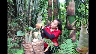 A day of harvesting bamboo shoots and catching rock crabs A very interesting journey Trang Huyền [upl. by Misty]