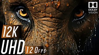 Special 12K HDR 120FPS Dolby Vision Demo [upl. by Concoff]