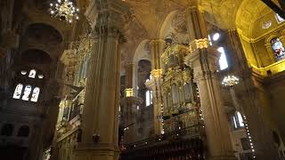 Marchas procesionales a dos órganos Catedral de Málaga 24 [upl. by Ashil]