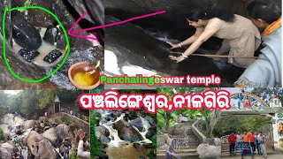 Panchalingeswar Temple Panchalingeswar Mandir Video NilagiriBalasoreOdishaIndia [upl. by Agamemnon]