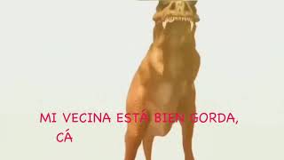 MI VECINA ESTA BIEN GORDA CALLESE VIEJA FODONGA REMIX HD [upl. by Eyaj508]