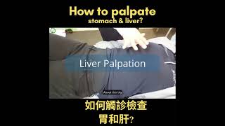 How to palpate the organs Liver amp Stomach [upl. by Dory]