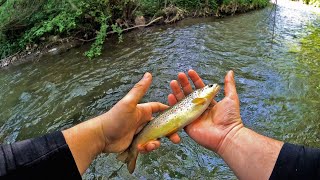 PECANJE PASTRMKE U PROLECE Pecanje na plovak  FISHING FOR TROUT Float Fishing [upl. by Atsirt]