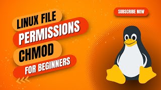 Chmod Command in Linux Mastering File Permissions for Beginners [upl. by Lilly997]