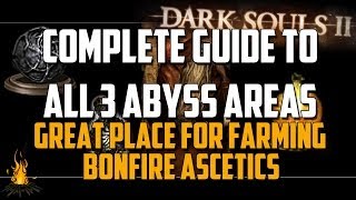 Complete Guide to All 3 Areas of The Dark Chasm of the Abyss for the Pilgrims of Dark Covenant [upl. by Katerina165]